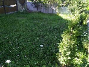 Giardino di Oskolok Dovbusha Mini-Hotel