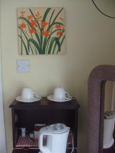 Foto sihtkohas Kenmare asuva majutusasutuse River Meadows B&B galeriist