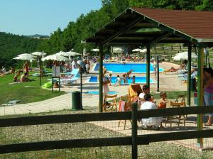 a group of people at a swimming pool at Agriturismo Orsaiola in Urbania