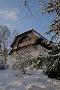 Afbeelding uit fotogalerij van Villa Sängerstein in Eisenach