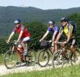 três pessoas a andar de bicicleta numa estrada de terra batida em Gasthof Schwarzer Bär em Kastl