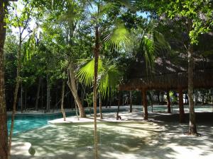 Bazén v ubytování Tropical Paradise Apartment nebo v jeho okolí