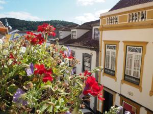 a bush of red flowers in front of buildings at Globo Happy Hostel in Angra do Heroísmo