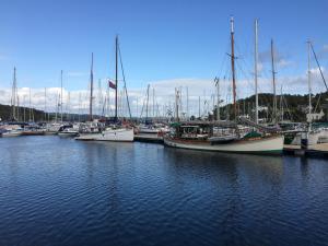 Une bande de bateaux amarrés dans un port dans l'établissement Starfish Rooms, à Tarbert