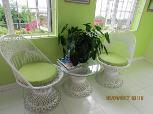 two white chairs with a table with a plant in them at Spectacular Ocean View Retreat in Saint James