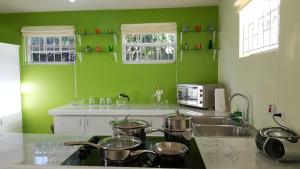 a kitchen with green walls and a stove with pots at Spectacular Ocean View Retreat in Saint James