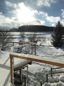 Příroda nedaleko apartmánu
