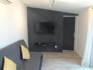a living room with a couch and a television on a wall at Joli Mazet entre Montpellier et Nimes in Aimargues