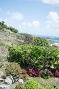 a garden with flowers and plants on a hill at Gordian Terrace in Spanish Town