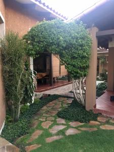 um jardim com um grande arbusto num quintal em Apartamento con jardin em Cochabamba