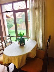 uma mesa com uma planta na frente de uma janela em Apartamento con jardin em Cochabamba