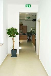 einen Flur in einem Büro mit einer Pflanze auf dem Boden in der Unterkunft Boutique Hotel Mali Raj in Opatija