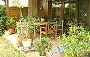 eine Terrasse mit einem Haufen Topfpflanzen in der Unterkunft Haus Silbermond in Rust