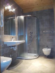 a bathroom with a shower and a sink and a toilet at Chalet Helen in Arabba