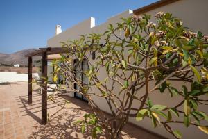 Fotografie z fotogalerie ubytování Casa Guisguey v destinaci Guisguey