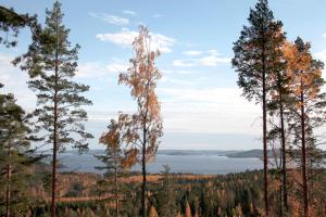 um grupo de árvores com um lago ao fundo em Riihivuori Cottages em Muurame