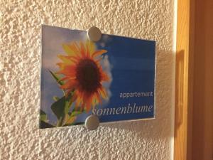 Fotografia z galérie ubytovania Sunnaschi Appartements - Wohnungen oder gesamt als "Hütte" v destinácii Laterns