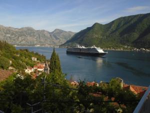 a large cruise ship in a large body of water at Apartments Jovanović in Perast