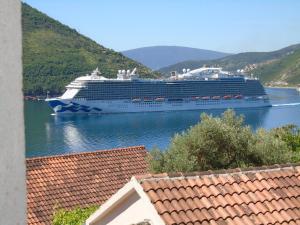 a cruise ship is docked in the water at Apartments Jovanović in Perast