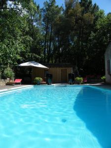 a large blue swimming pool with a gazebo at Logis Hôtel restaurant des Pins in Bédoin