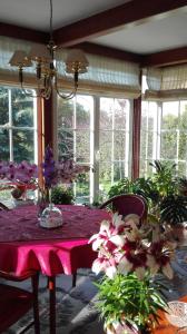 Aed väljaspool majutusasutust Homestay Svatá