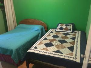 Grünes Zimmer mit 2 Betten und einer Decke in der Unterkunft Apartment Blanquita Consulado Cedros in Ciudad Juárez