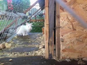 Gallery image of Hotel Paradise in Zhilentsi