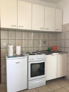 Kuchyň nebo kuchyňský kout v ubytování Apartmants Matić + 32 fotografií
