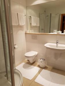 a bathroom with a toilet and a sink and a shower at Hotel Garni Keiml in Nuremberg