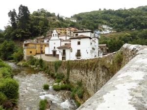 a group of houses on a hill next to a river at Hostal los nogales in Cangas del Narcea