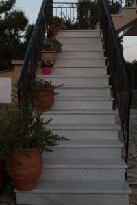 a set of stairs with potted plants on them at Ionian Aura in Mantzavináta