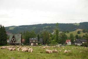 Príroda v okolí dovolenkového domu