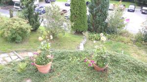 a garden with plants and flowers in pots at Ferienwohnungen Villa Goldbrunnen in Bad Elster