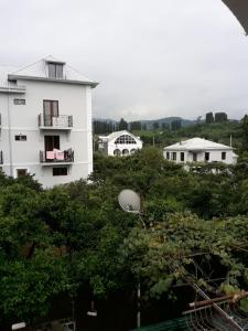 Zahrada ubytování House Dea Dea