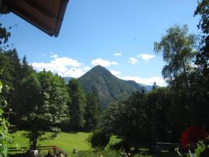 Uma vista da montanha tirada do apartamento 