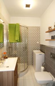 エゲルにあるOrchidea Apartman Egerのバスルーム(シャワー、トイレ、シンク付)