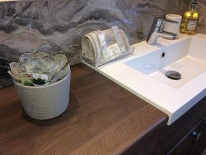 a bathroom with a sink and a potted plant at Apartment 101 Kingsmills Road in Inverness +27 photos
