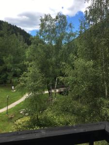 Táj az apartman közelében