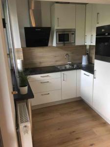 A kitchen or kitchenette at AAA Fewo Bad Kleinkirchheim