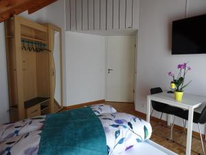 Schlafzimmer mit einem Bett, einem Schreibtisch und einem TV in der Unterkunft B & B Hartenfels 73 in Luzern