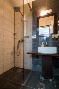 La salle de bains est pourvue d'un lavabo et d'une douche. dans l'établissement Guesthouse Villa Milano, à Kovin
