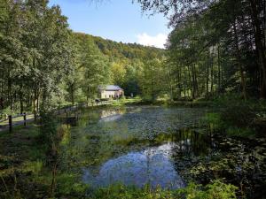 ジャレにあるModern Holiday Home with Garden in Jalhayの森の中の家がある池