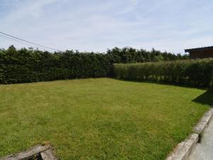 a grassy yard with a hedge in the background at Apartment with pool and sauna in Felenne