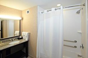 łazienka z zasłoną prysznicową i umywalką w obiekcie Holiday Inn Birmingham - Hoover, an IHG Hotel w mieście Hoover