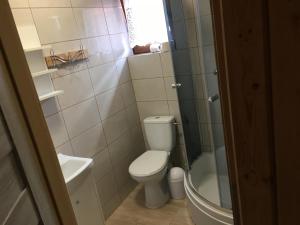 a small bathroom with a toilet and a shower at Ośrodek Słonecznik in Hel +4 photos