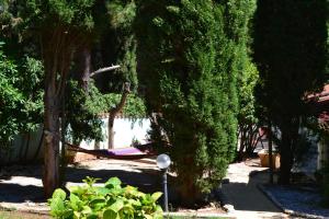 a garden with a hammock between some trees at Villa Verde Apartments and Rooms in Premantura