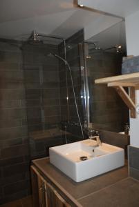 a bathroom with a white sink and a shower at Champalo in Chamonix