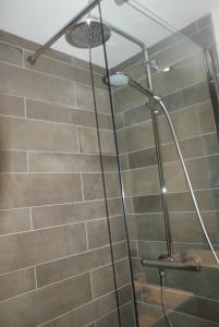 een douche met een metalen douchekop in de badkamer bij Champalo in Chamonix-Mont-Blanc