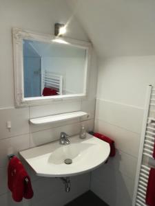 een badkamer met een witte wastafel en een spiegel bij „Lebenslust“ in Möggers
