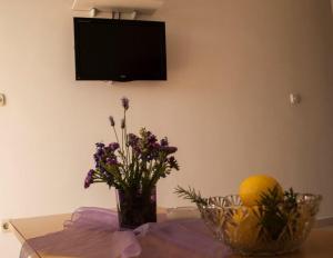 TV a/nebo společenská místnost v ubytování Apartmani Božana Viganj